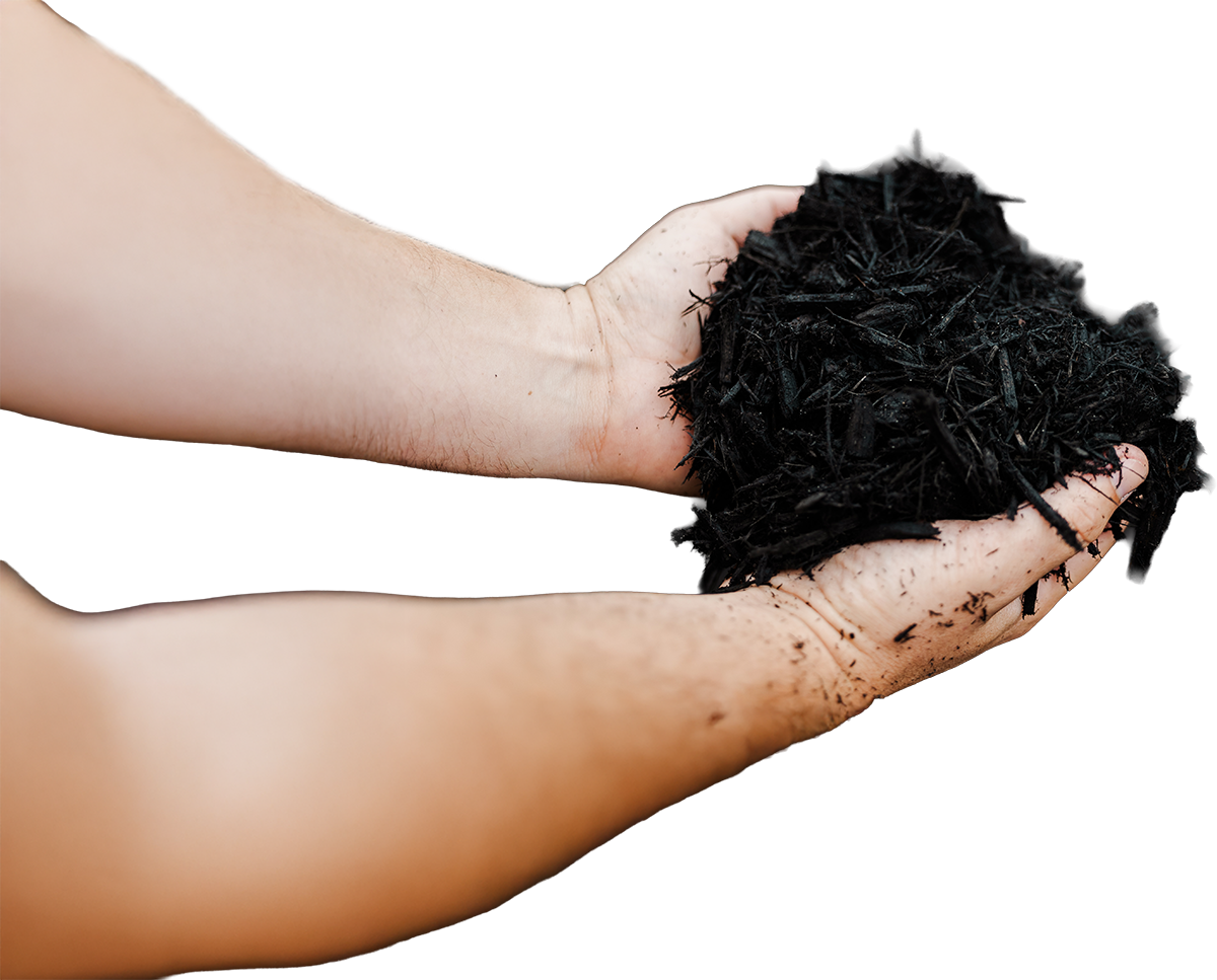 Mulch – Black Mulch - Black