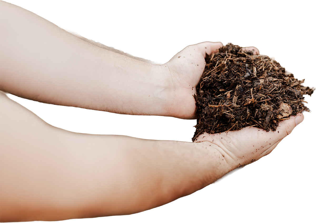 Mulch – Natural Pine