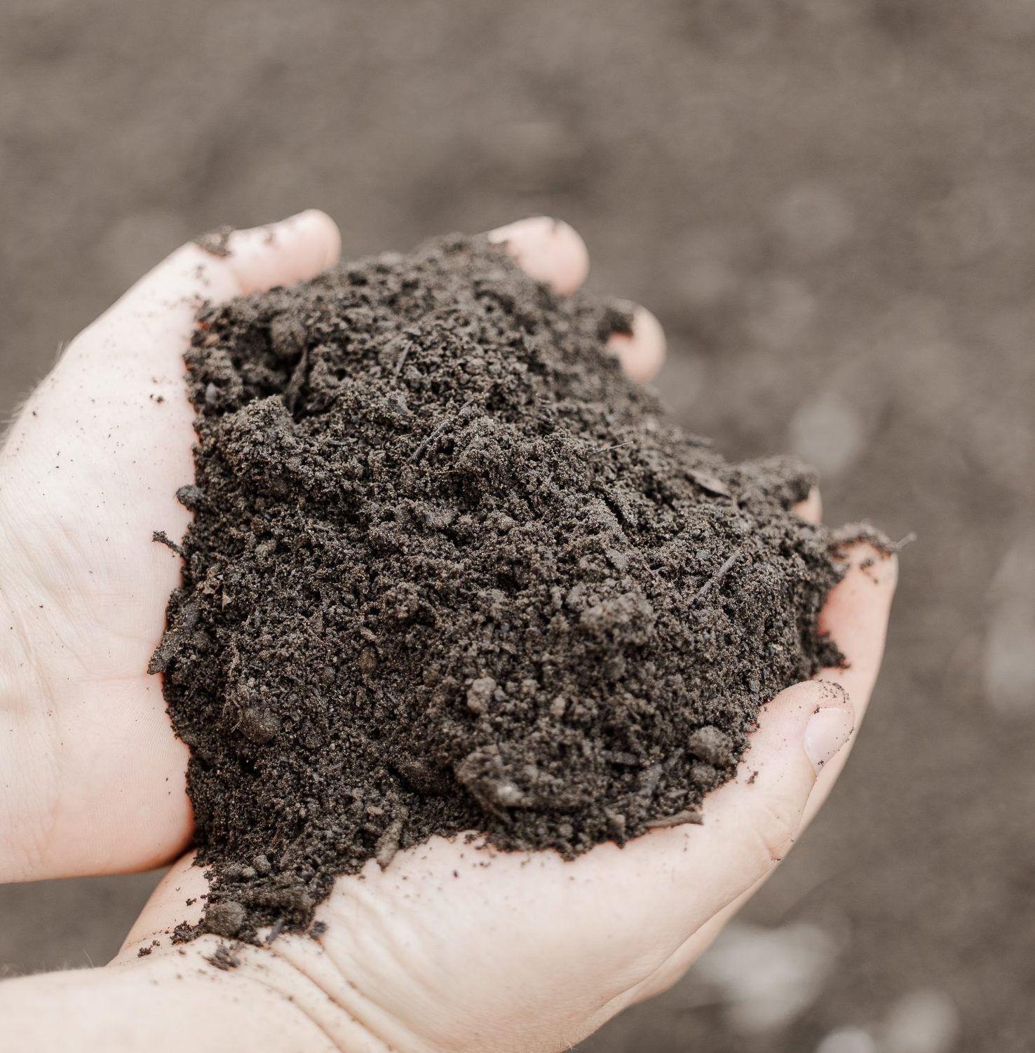 Topsoil for Grading - Image 2