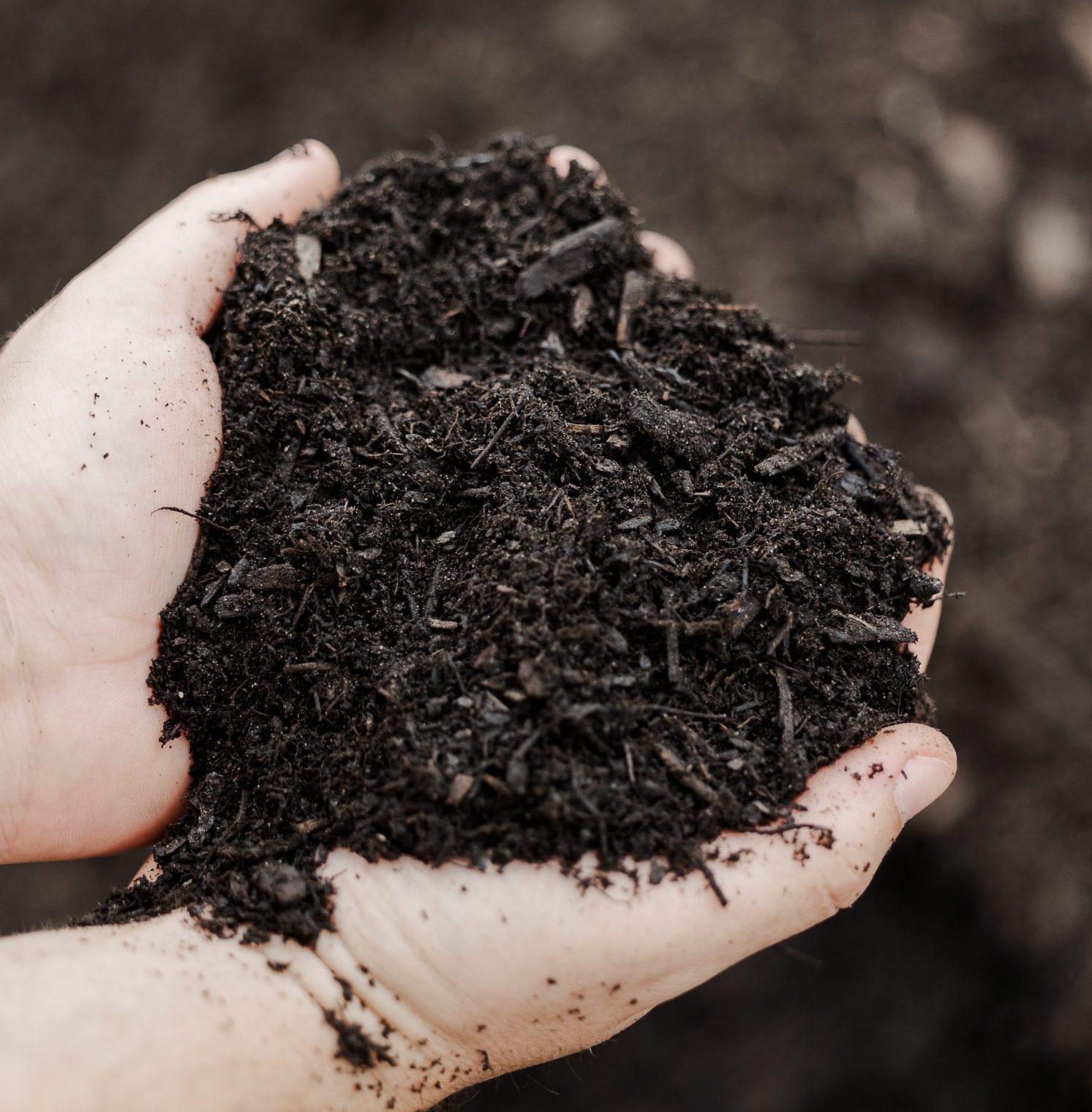 50/50 Garden Blend (Topsoil & Gro-Max) - Image 2