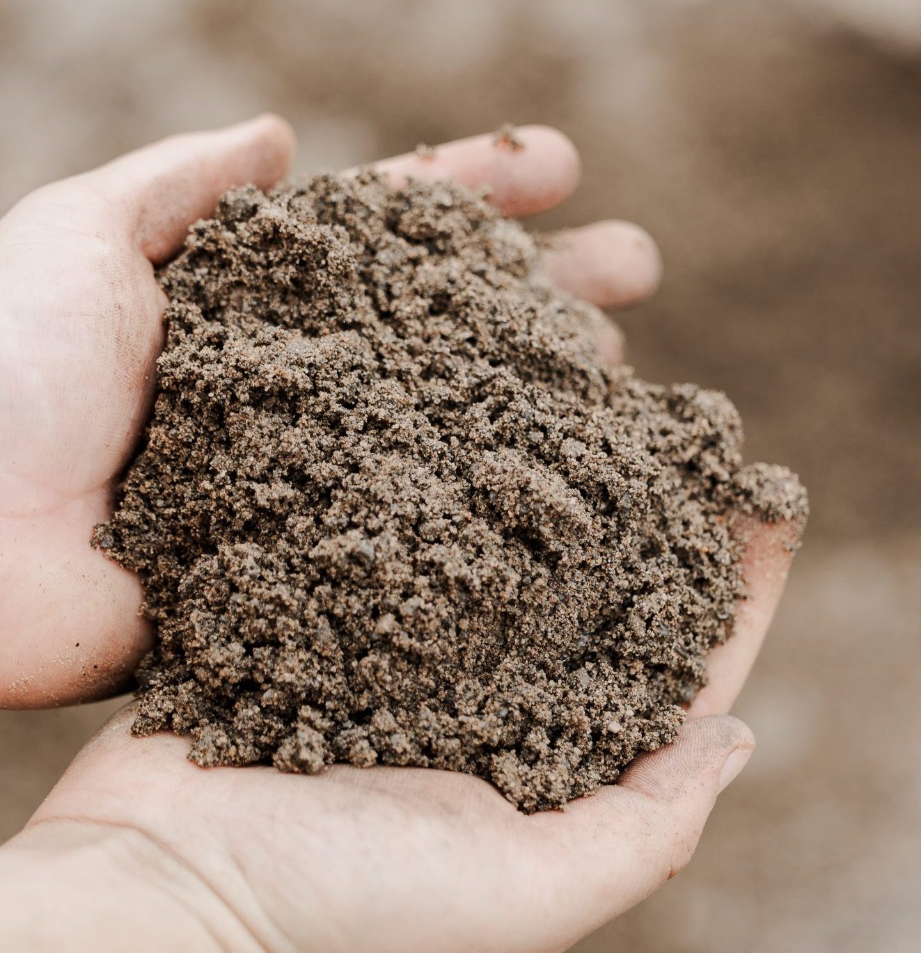 Coarse Sand - Image 2