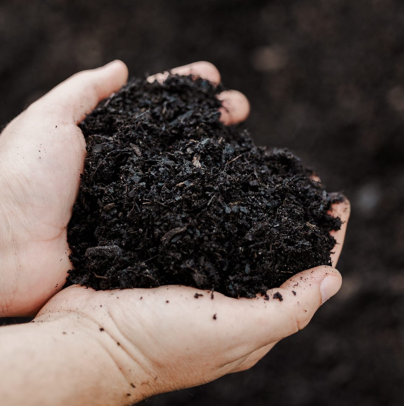 Gro-Turf® Top Dress - Image 2