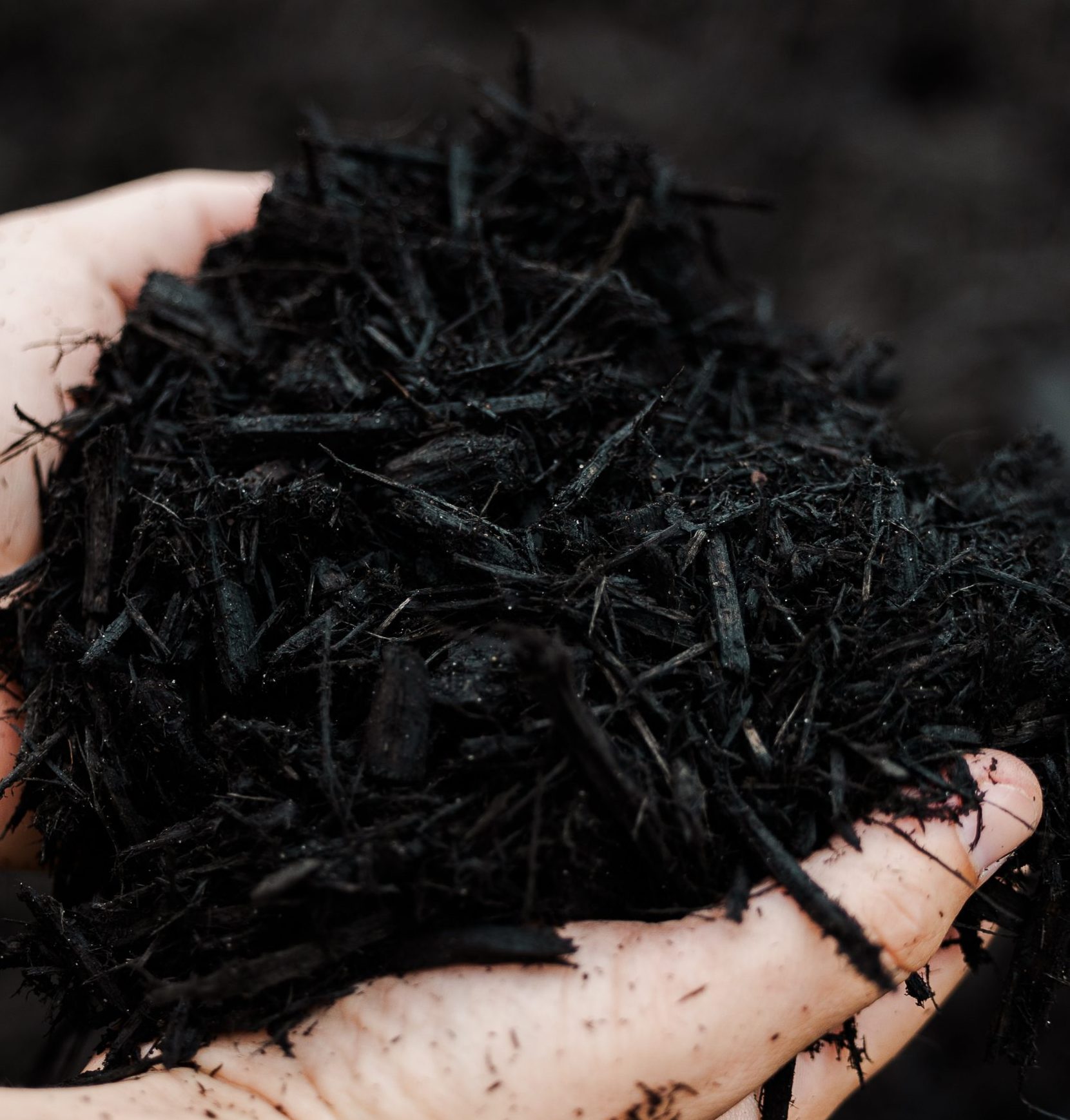 Premium Black Mulch - Image 2