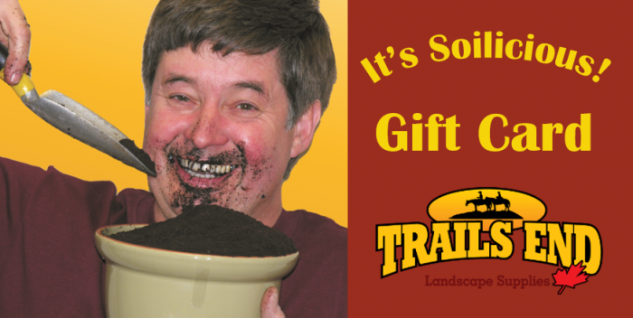 Gift Certificate