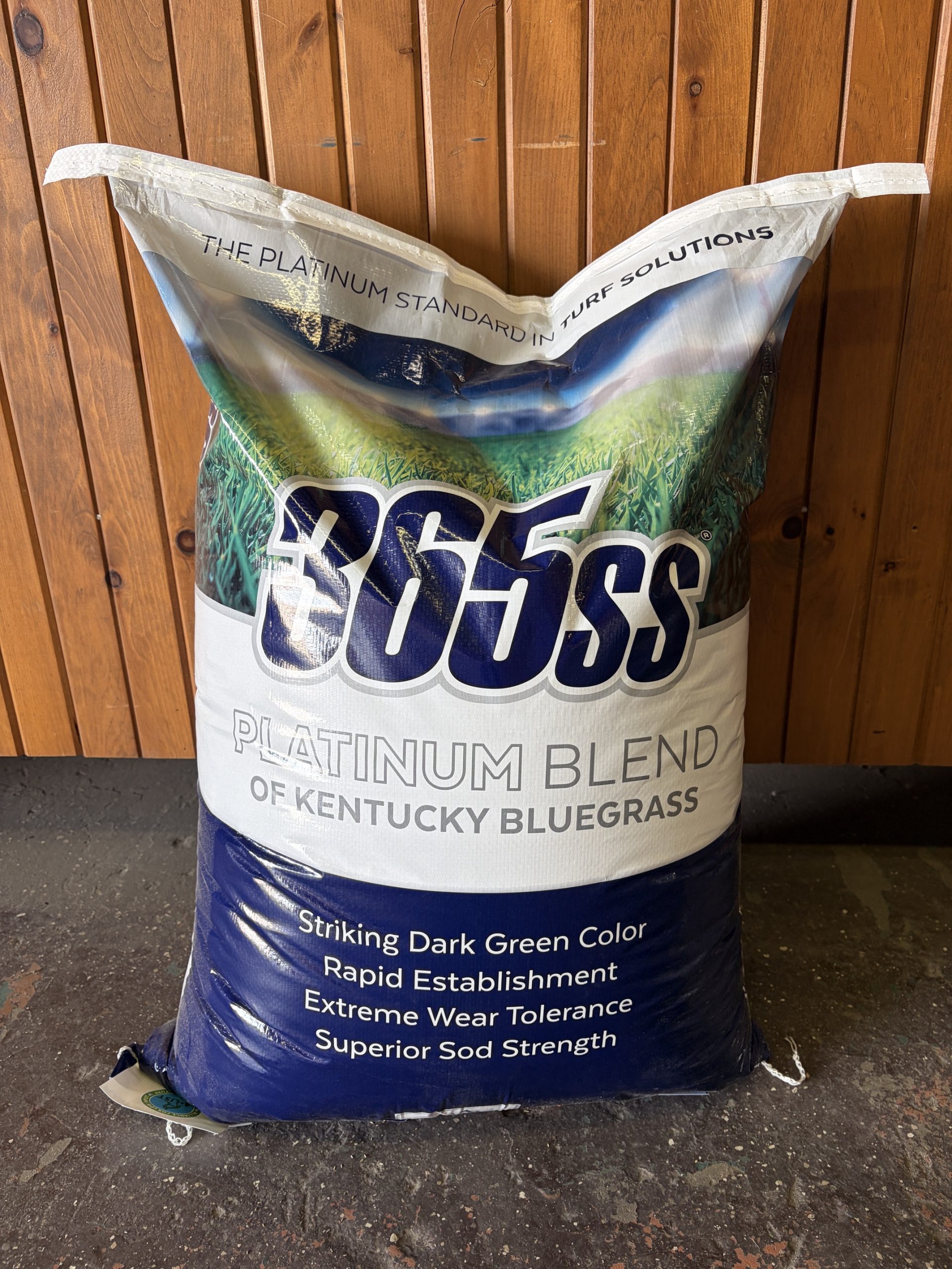 365SS Kentucky Bluegrass Seed