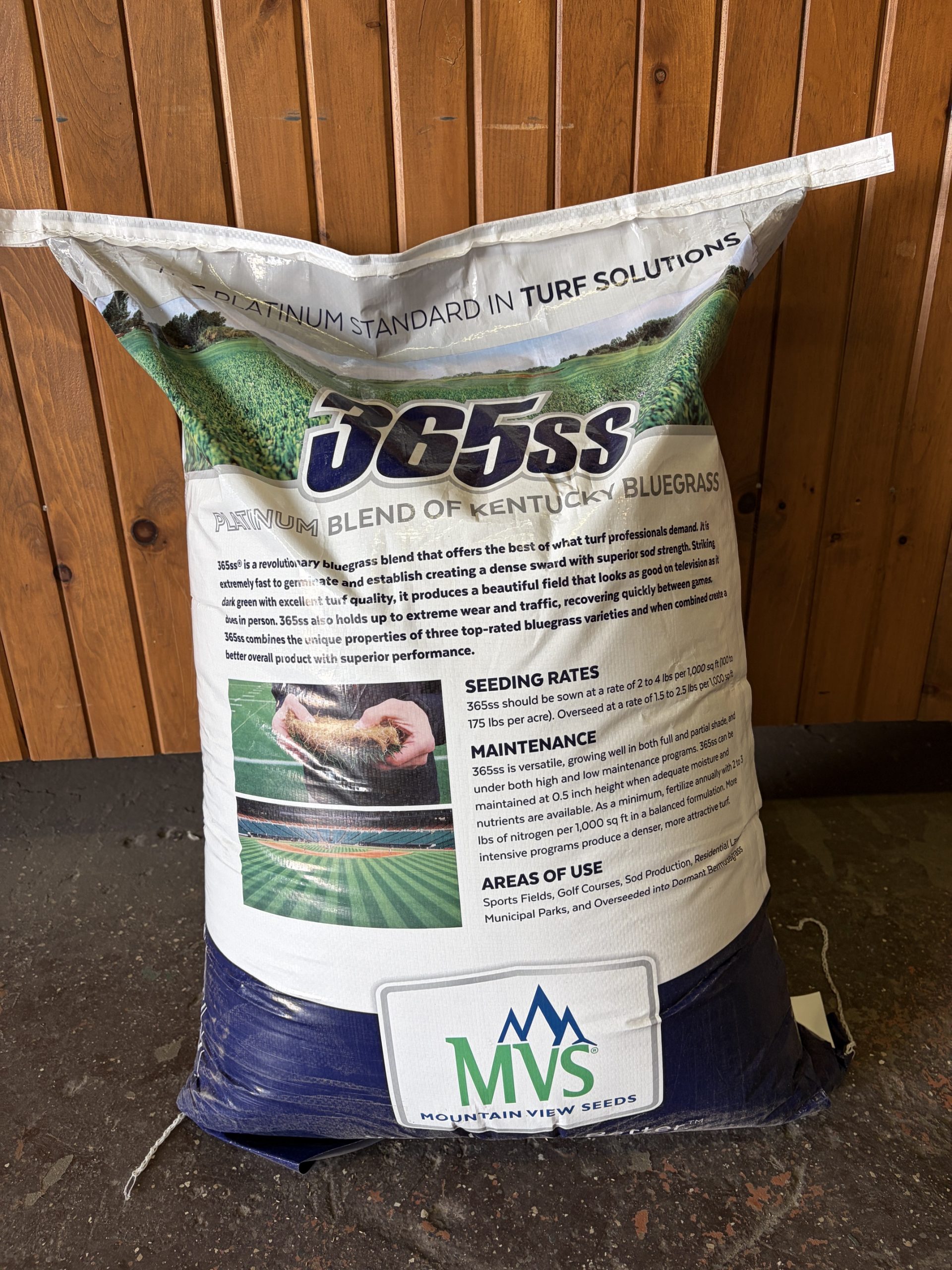 365SS Kentucky Bluegrass Seed - Image 2