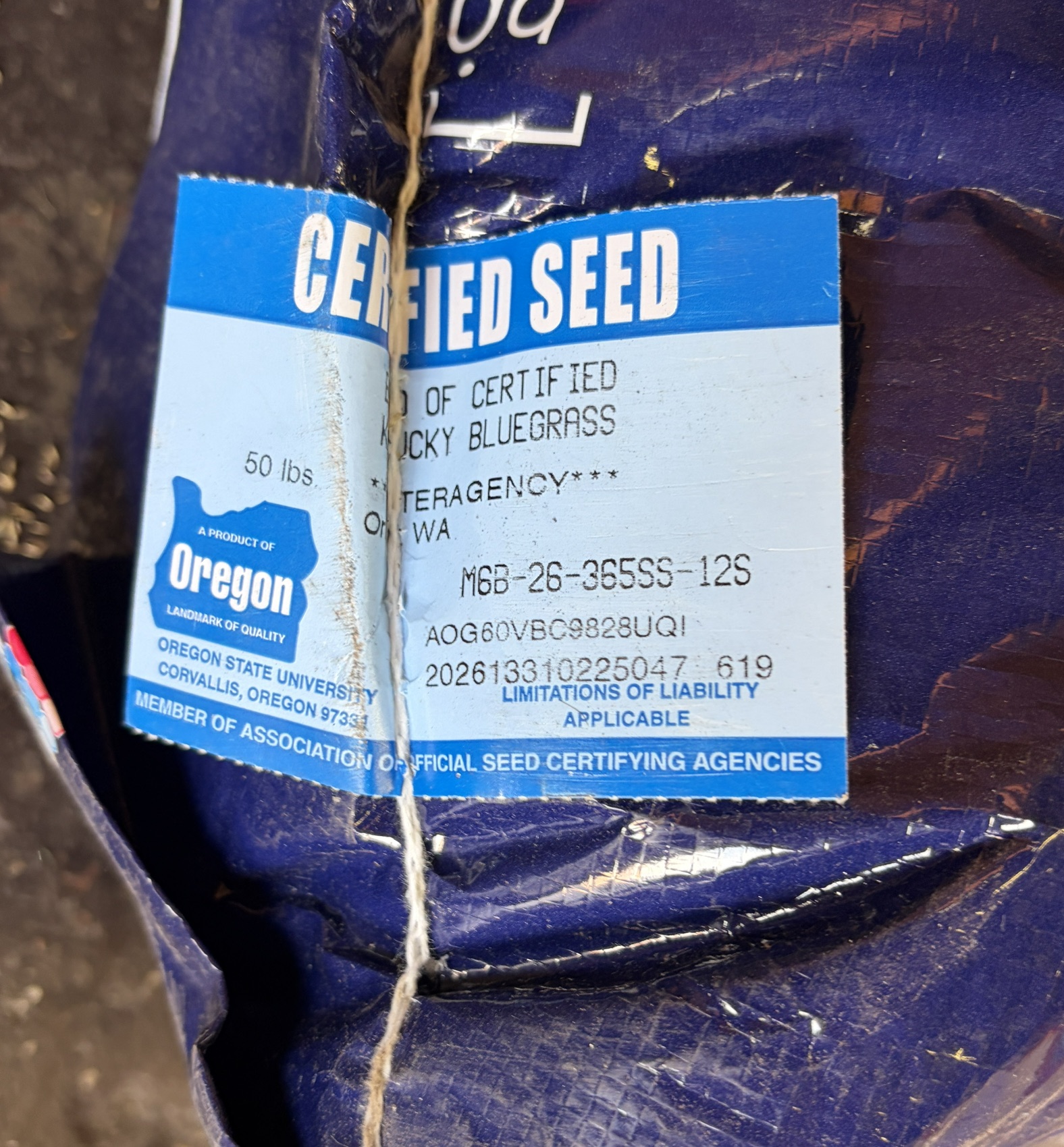 365SS Kentucky Bluegrass Seed - Image 3